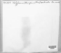 Image Associated With the Occurence